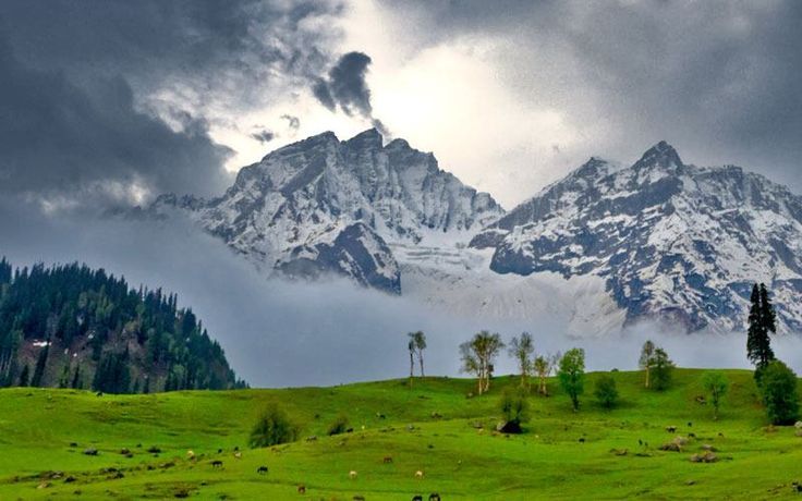 Kashmir
